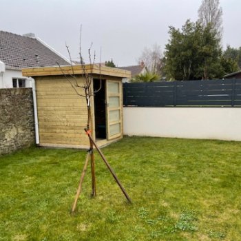 Abri de jardin en bois - Vintage
